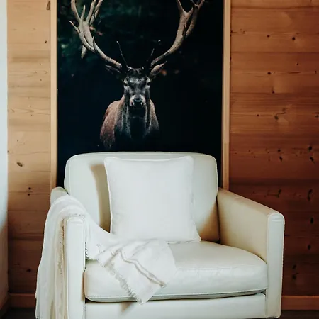 Holiday home Le D'helene - Meuble Tourisme 4 Etoiles 12 Personnes - Haute-savoie - 30 Minutes De Toutes Les Stations De