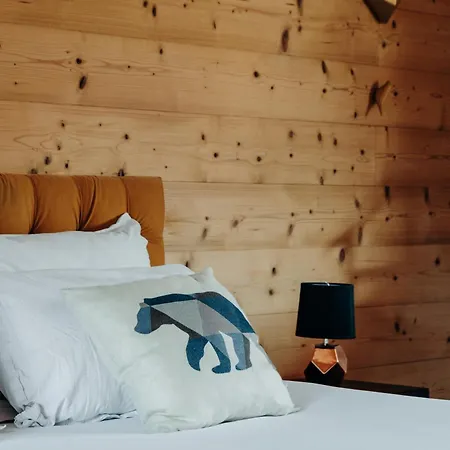 Le D'helene - Meuble Tourisme 4 Etoiles 12 Personnes - Haute-savoie - 30 Minutes De Toutes Les Stations De Holiday home *